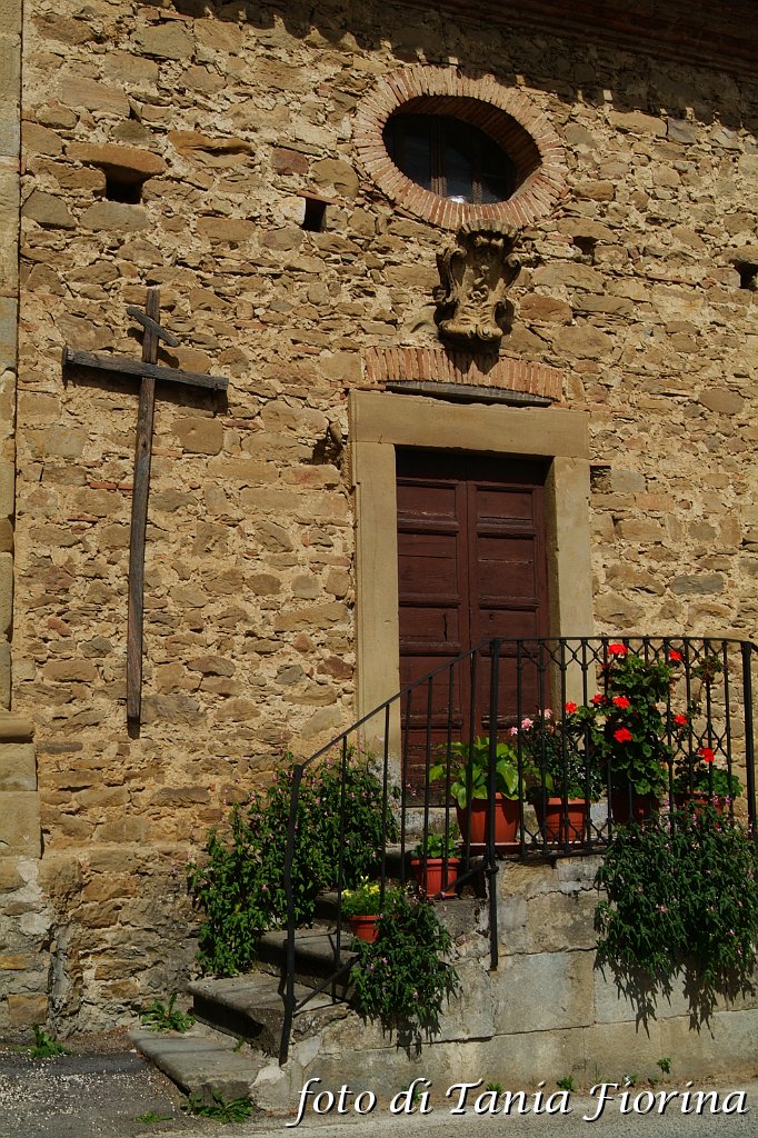DSCF0494.JPG