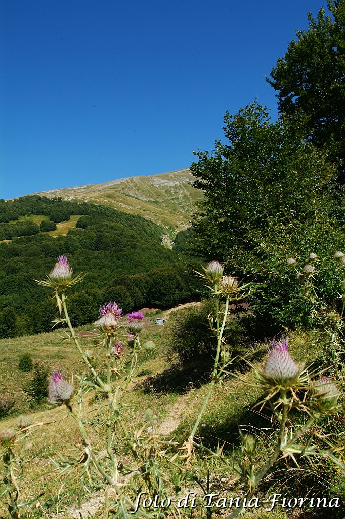 DSCF0513.JPG