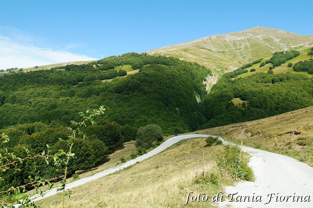DSCF0514.JPG