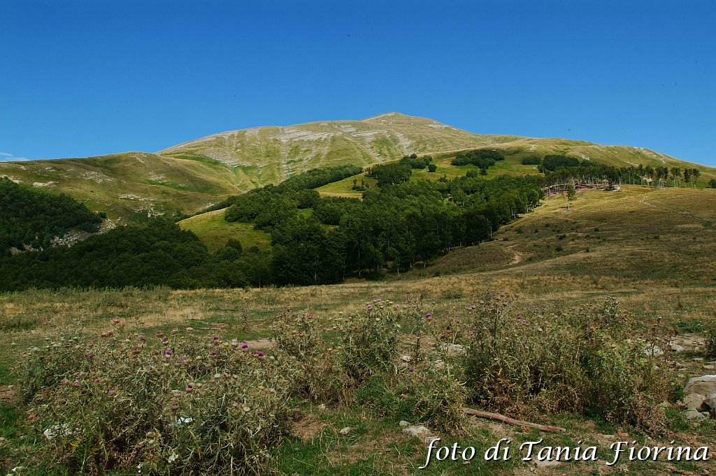 DSCF0517.JPG