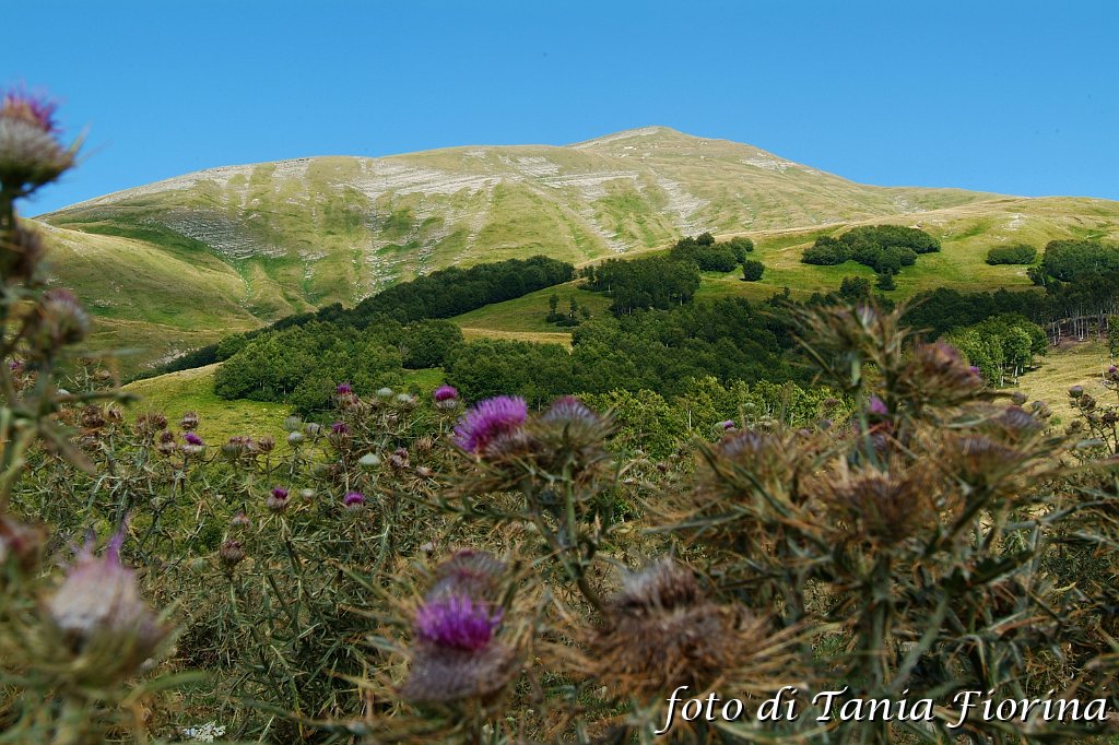 DSCF0518.JPG