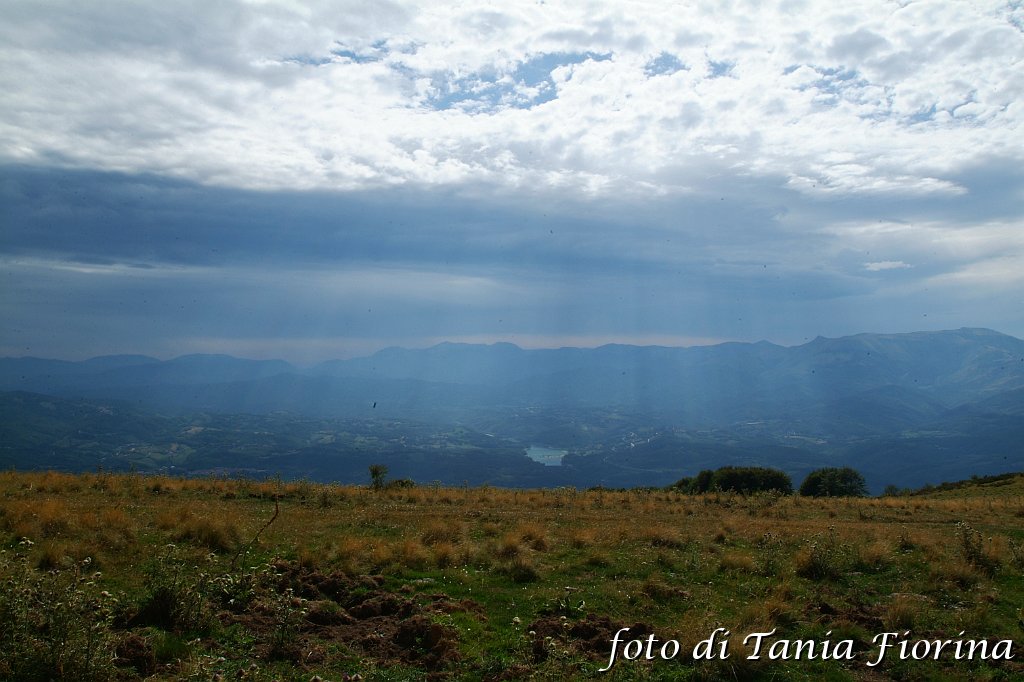DSCF0522.JPG