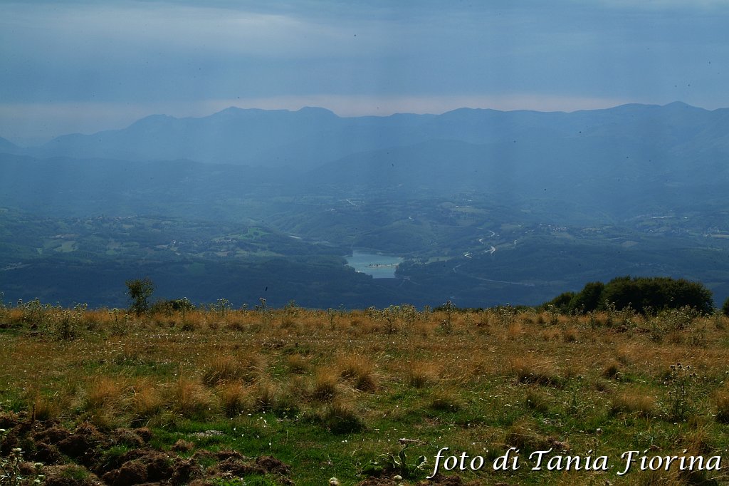 DSCF0523.JPG
