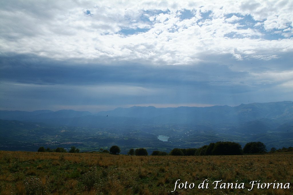 DSCF0524.JPG