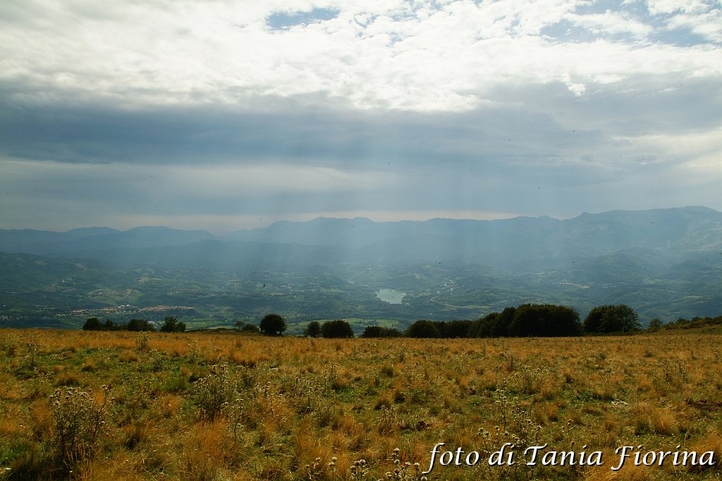 DSCF0528.JPG