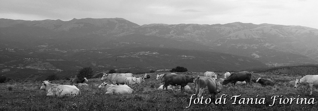 DSCF0541.JPG