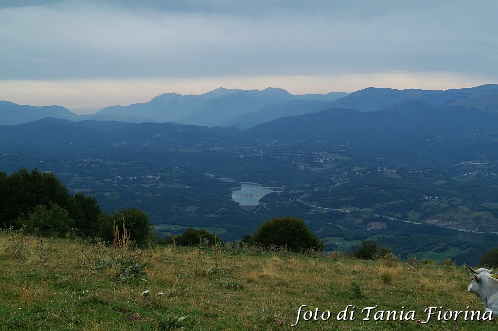 DSCF0543.JPG