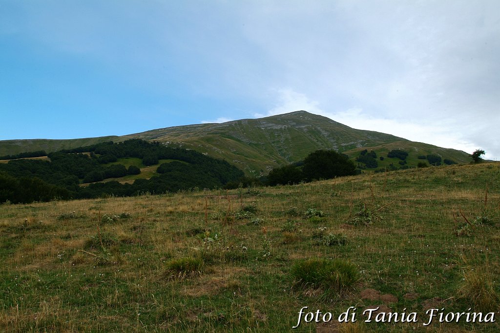 DSCF0544.JPG