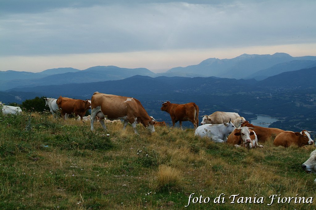 DSCF0549.JPG