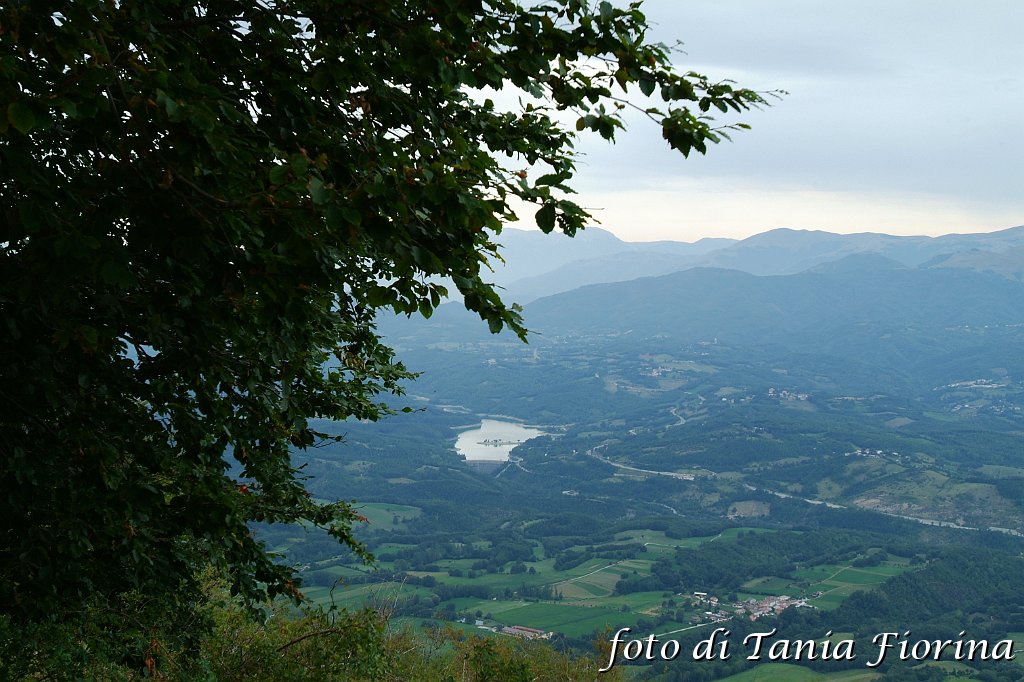 DSCF0555.JPG