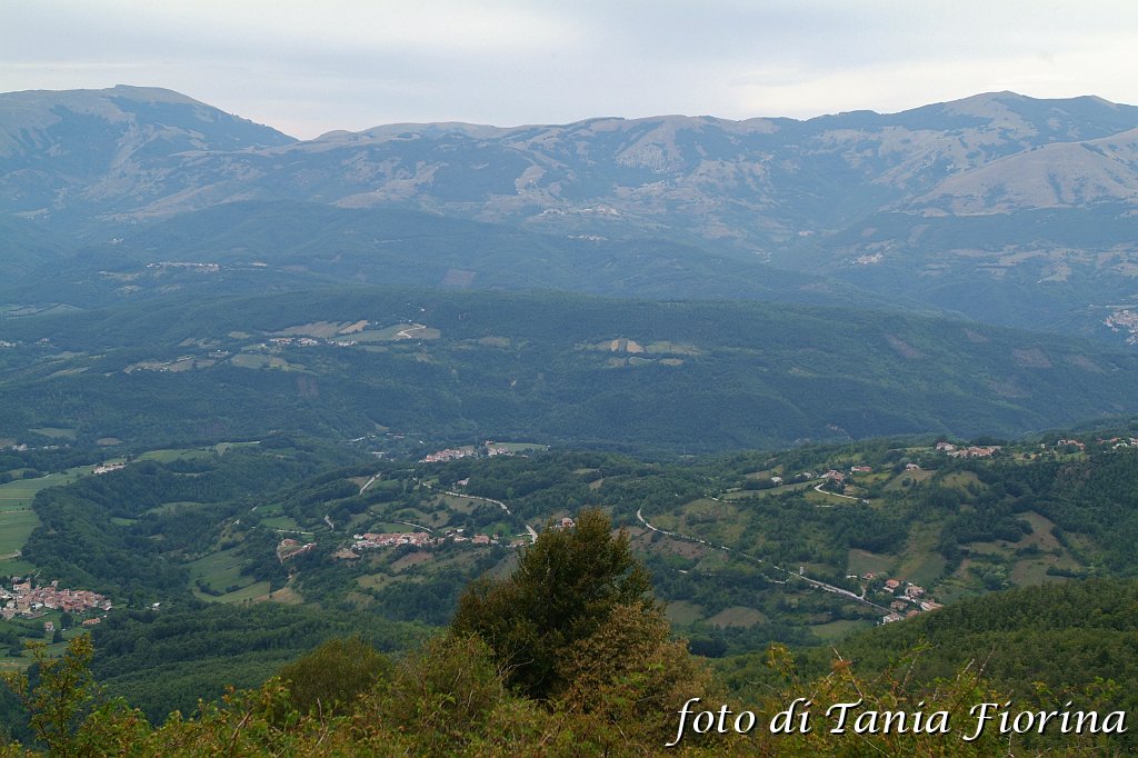 DSCF0557.JPG