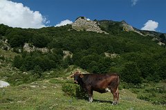 DSCF0315