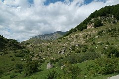 DSCF0322