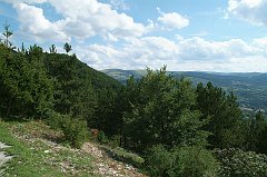 DSCF0328