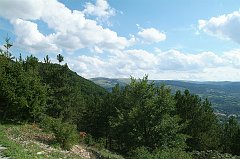 DSCF0329