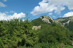 DSCF0335