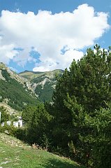 DSCF0337