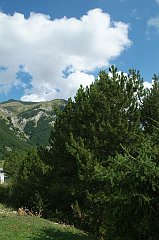 DSCF0338
