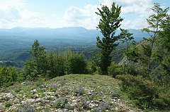 DSCF0340
