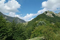 DSCF0341