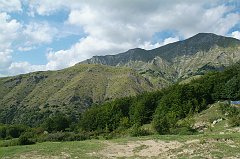 DSCF0342