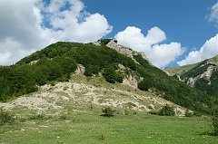 DSCF0346