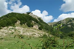 DSCF0348