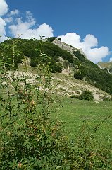 DSCF0350