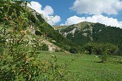 DSCF0352