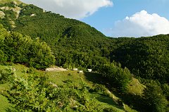 DSCF0378