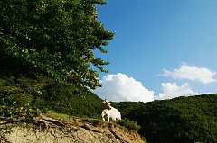 DSCF0385