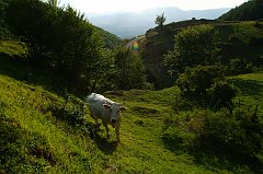 DSCF0390