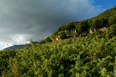 DSCF0400