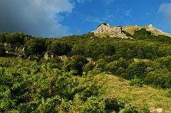 DSCF0401