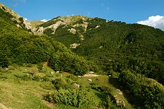 DSCF0402