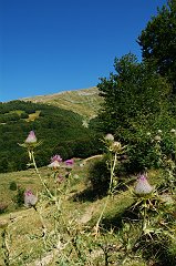 DSCF0513