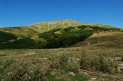DSCF0517