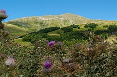 DSCF0518