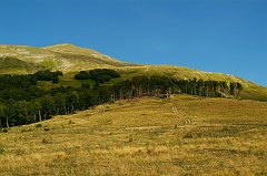 DSCF0529
