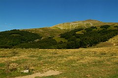 DSCF0530