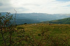 DSCF0531