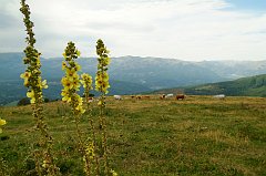 DSCF0535