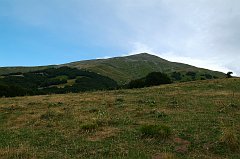 DSCF0544