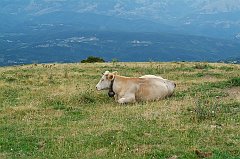 DSCF0546