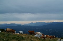 DSCF0548