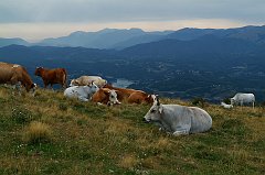 DSCF0550