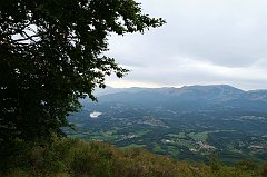 DSCF0556