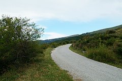 DSCF0558