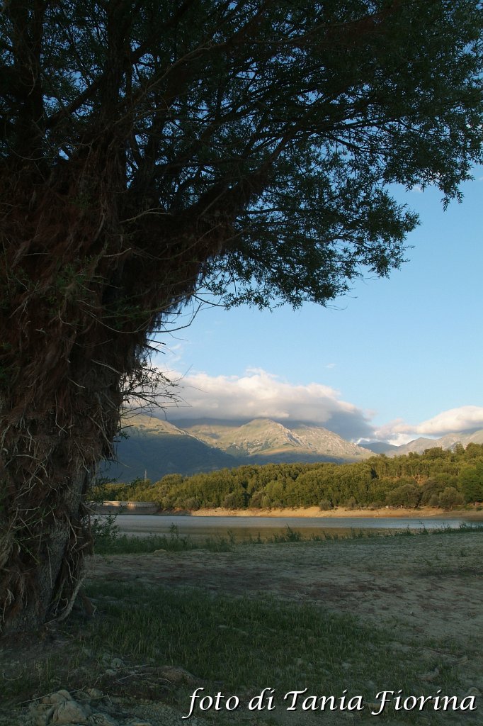 DSCF0287.JPG