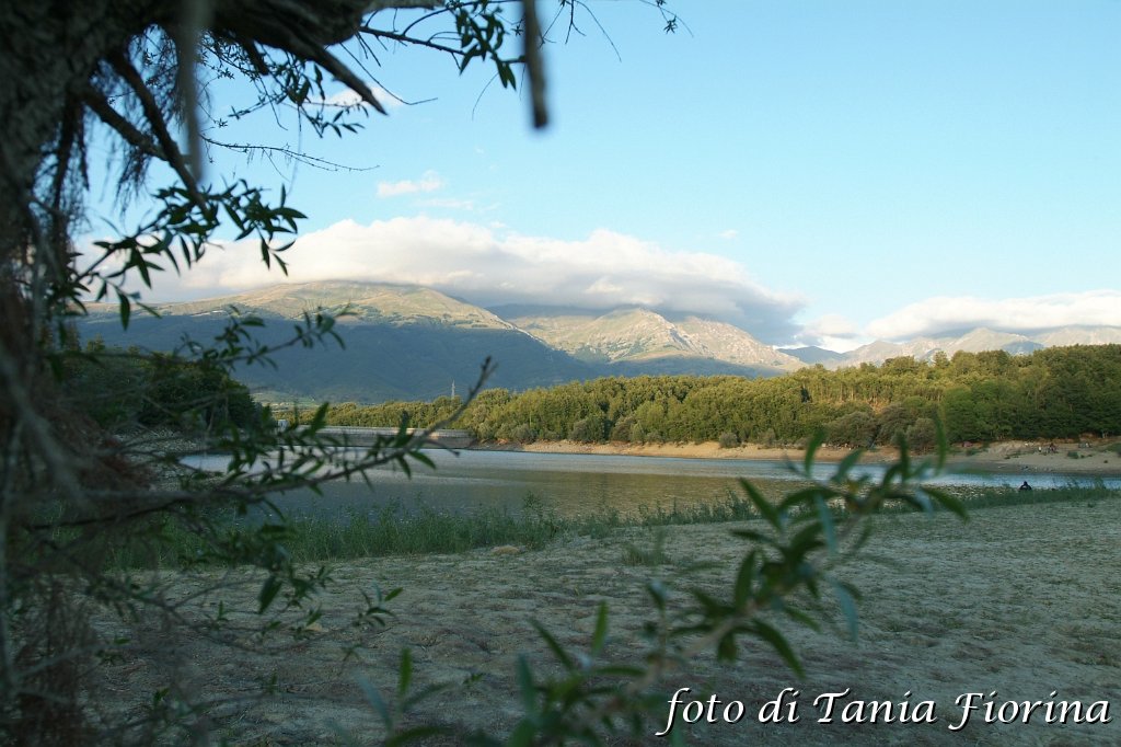 DSCF0291.JPG